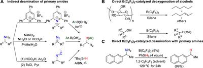 Mechanistic insights into reductive deamination with hydrosilanes catalyzed by B(C6F5)3: A DFT study